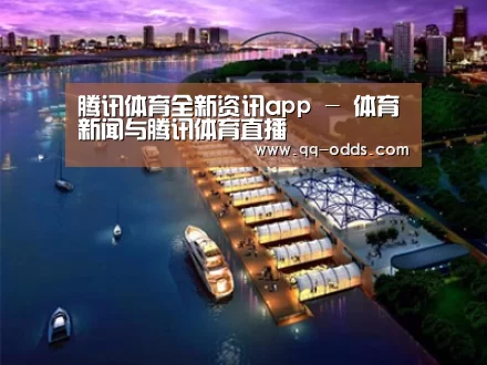 案例展示八