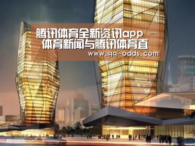 案例展示三